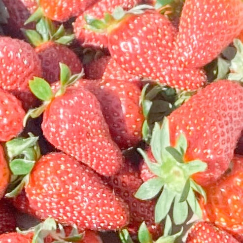 FREEZE DRIED STRAWBERRIES