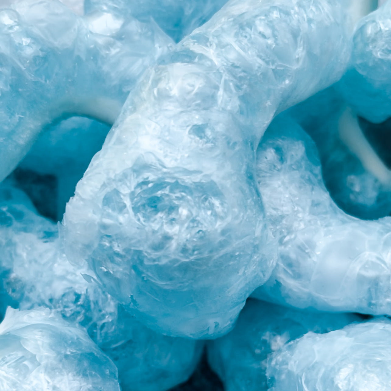 Freeze Dried Blue Sharks Candy Lollies