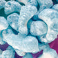 Freeze Dried Blue Sharks Candy Lollies