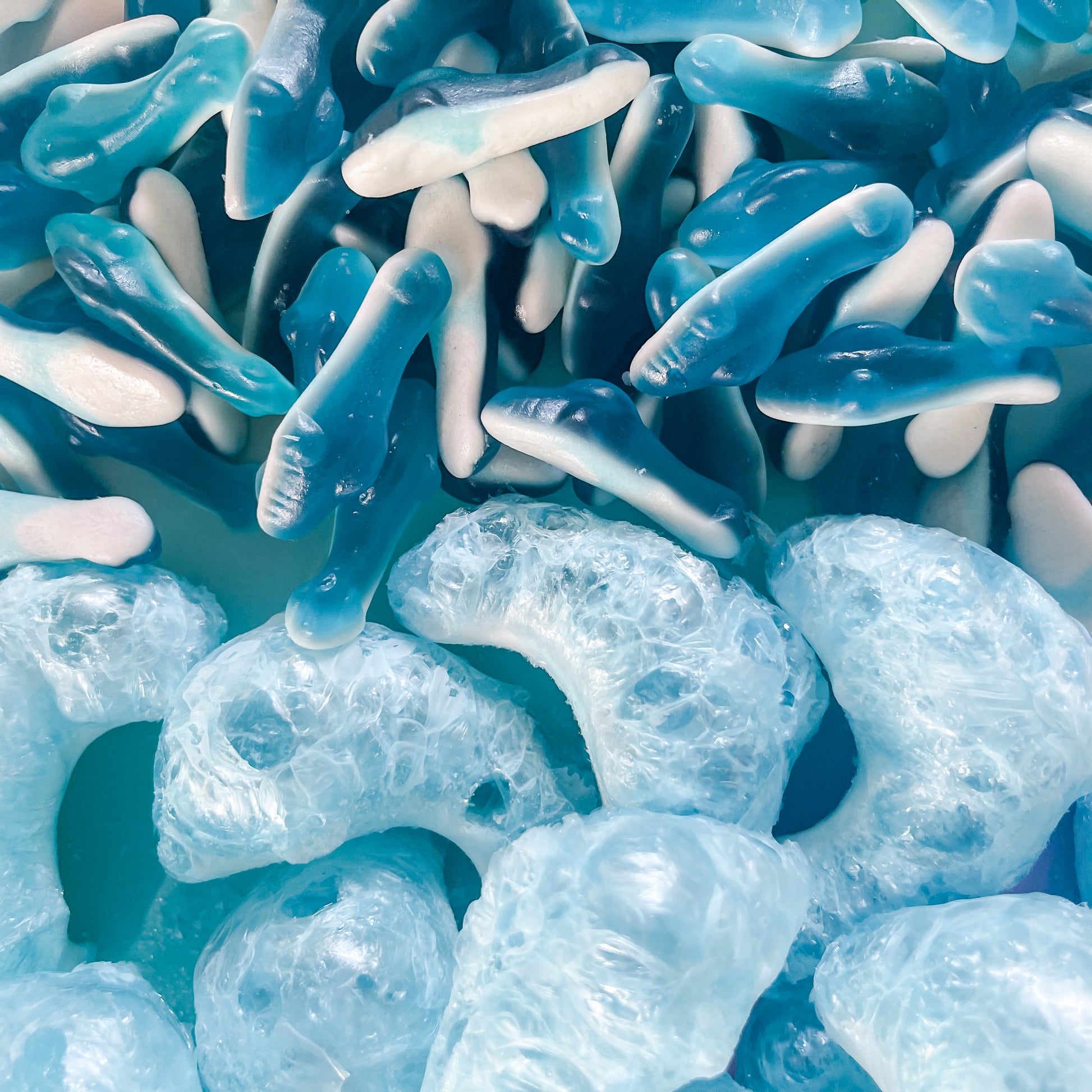 Freeze Dried Blue Sharks Candy Lollies Before and After
