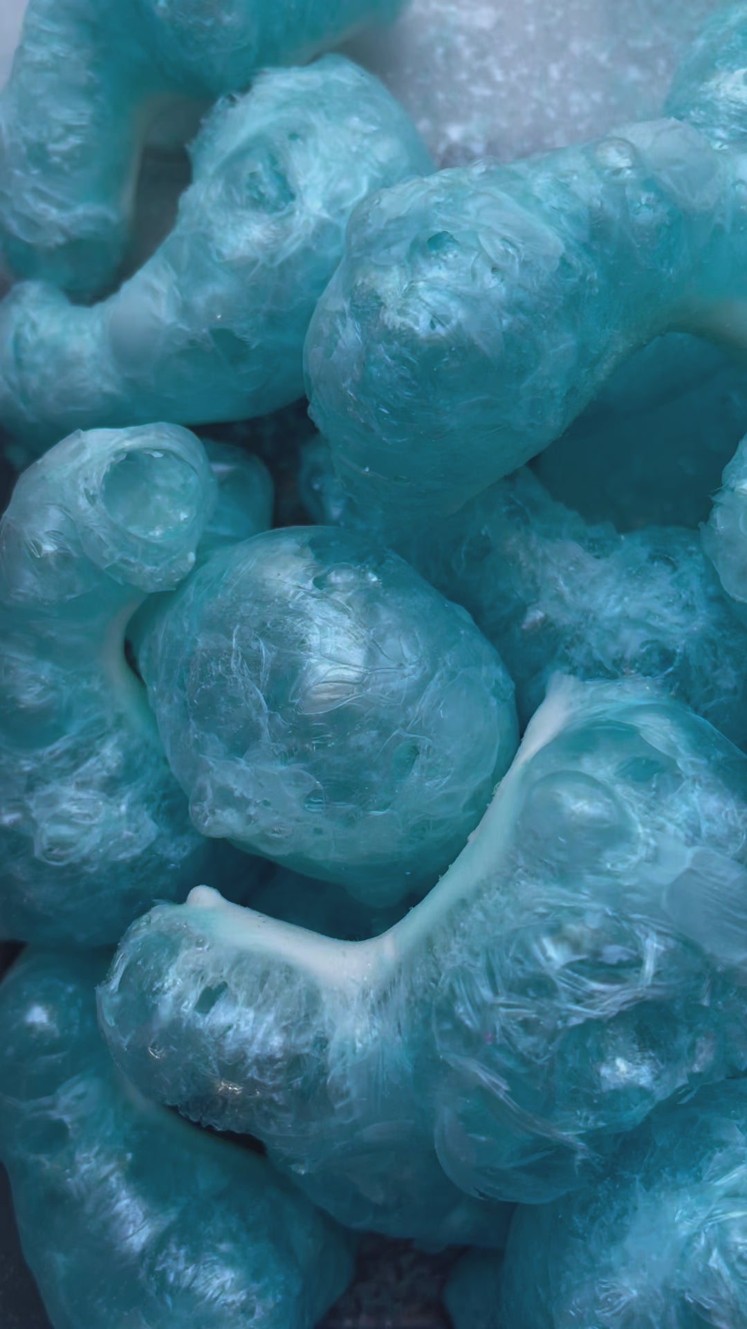 Freeze Dried Blue Sharks Candy Lollies