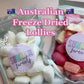 Freeze Dried Strawberry Clouds Lollies