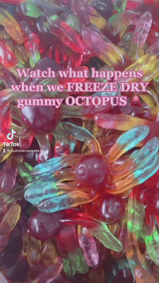 Freeze Dried Octopus Summer Sweets