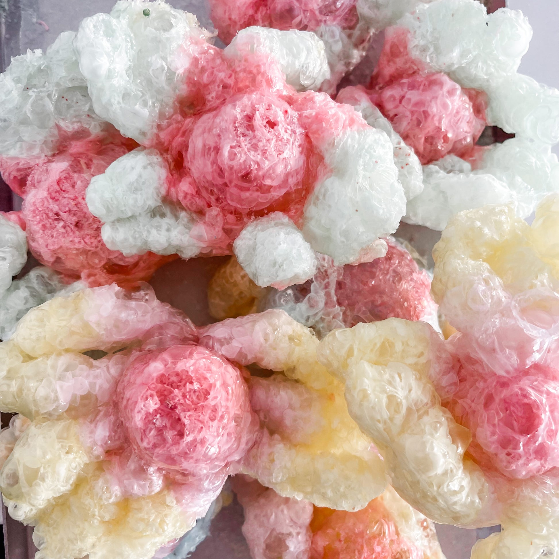 Freeze dried gummy octopus candy